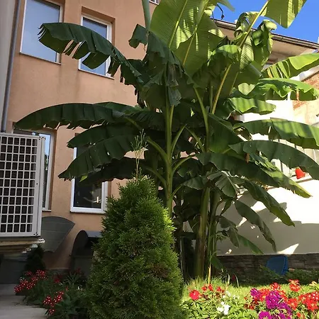 Obzor City Hotel 3*
