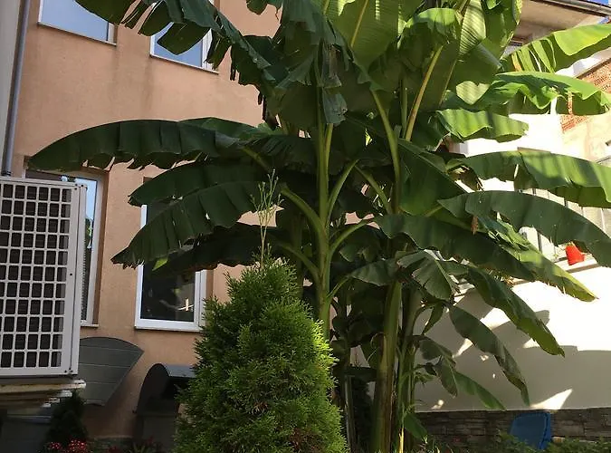 奥布佐尔城市酒店 3*